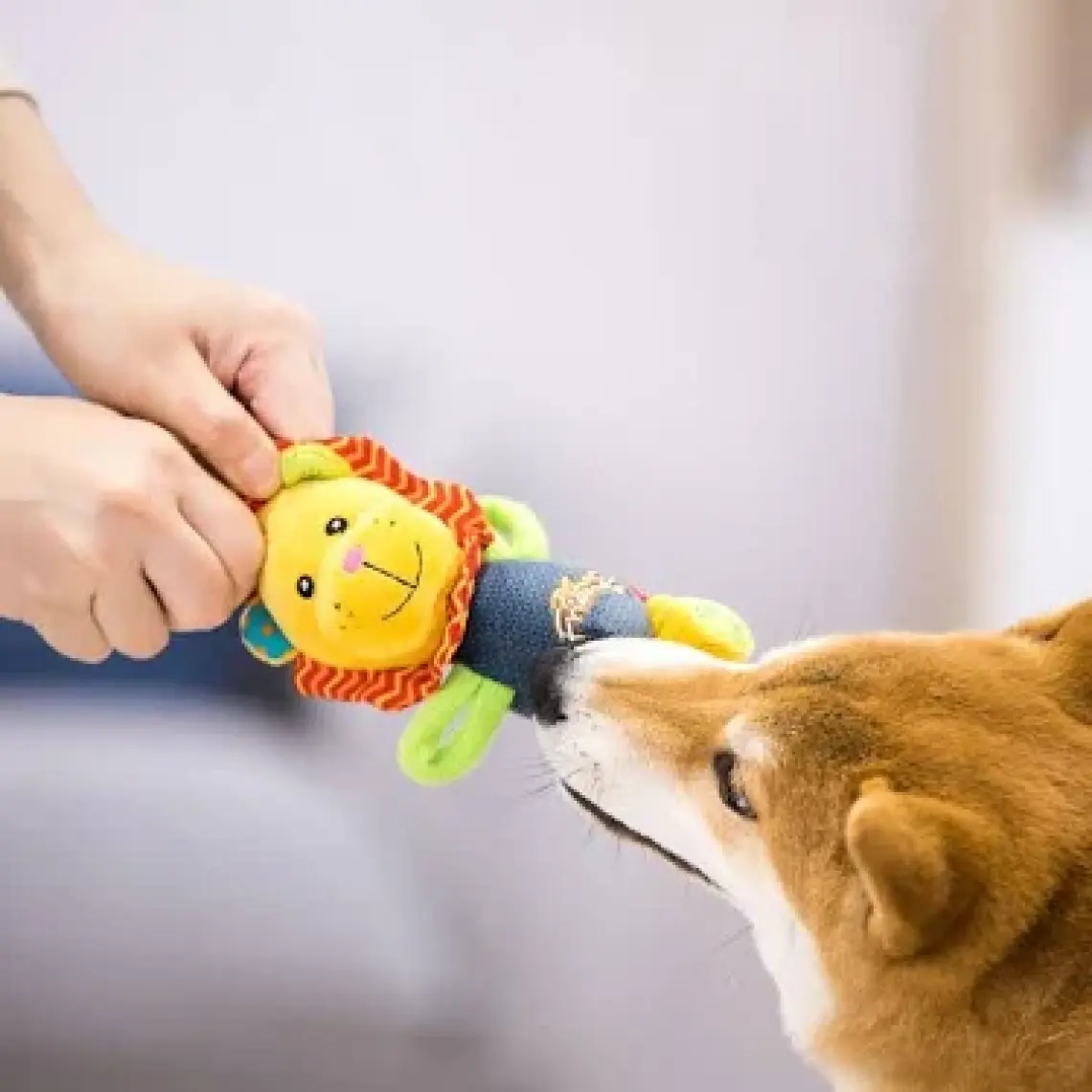 Gigwi Köpek Oyuncağı Plush Friendz Sesli Peluş Maymun