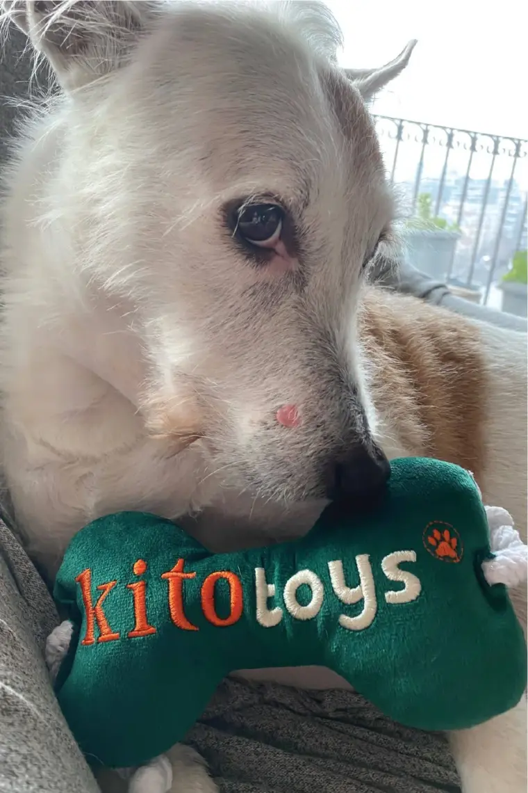 Kito Toys Kemik Peluş Köpek Oyuncağı