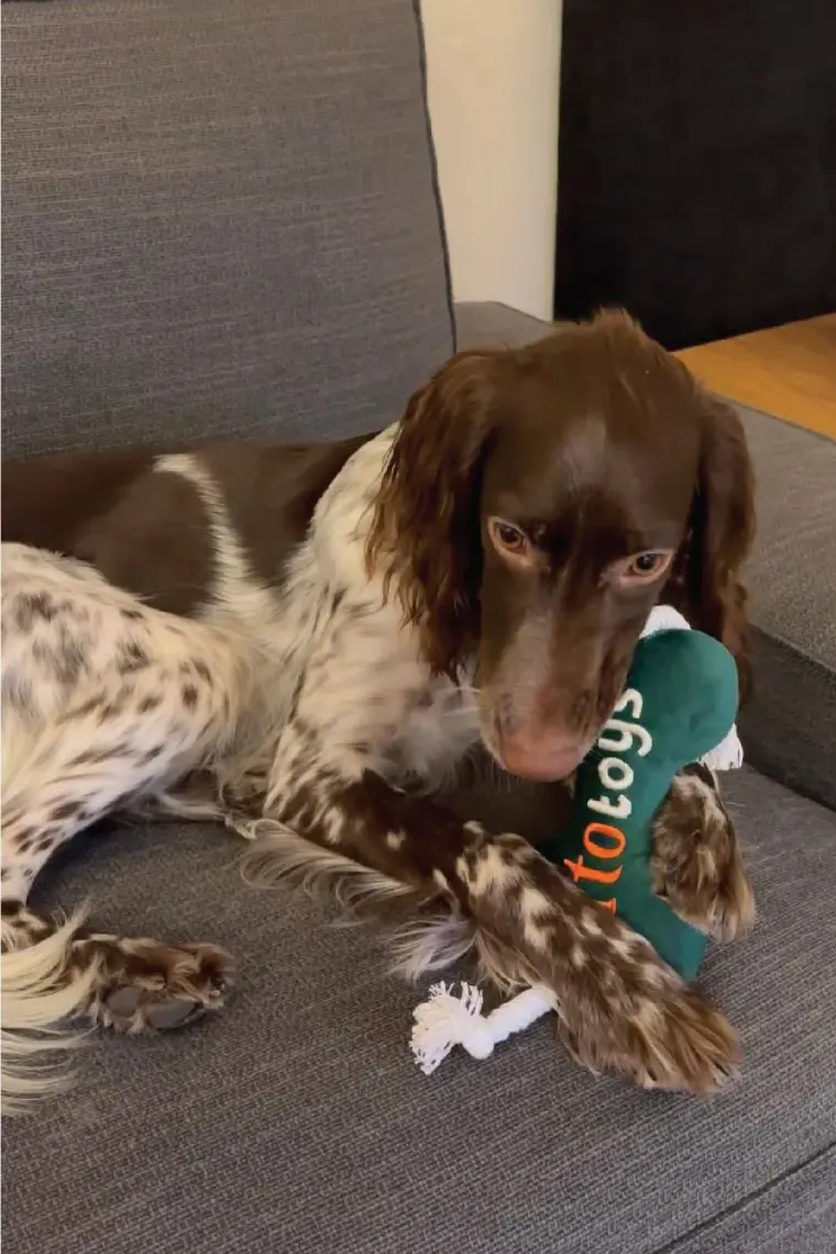 Kito Toys Kemik Peluş Köpek Oyuncağı