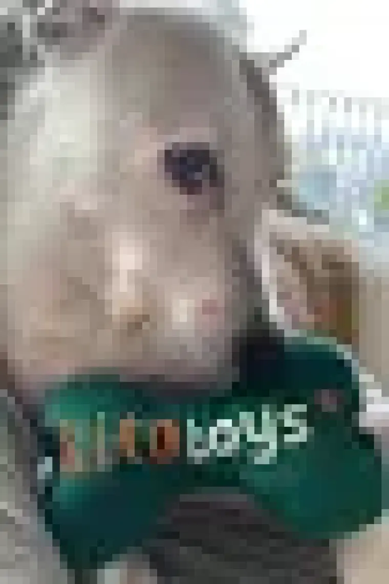 Kito Toys Kemik Peluş Köpek Oyuncağı