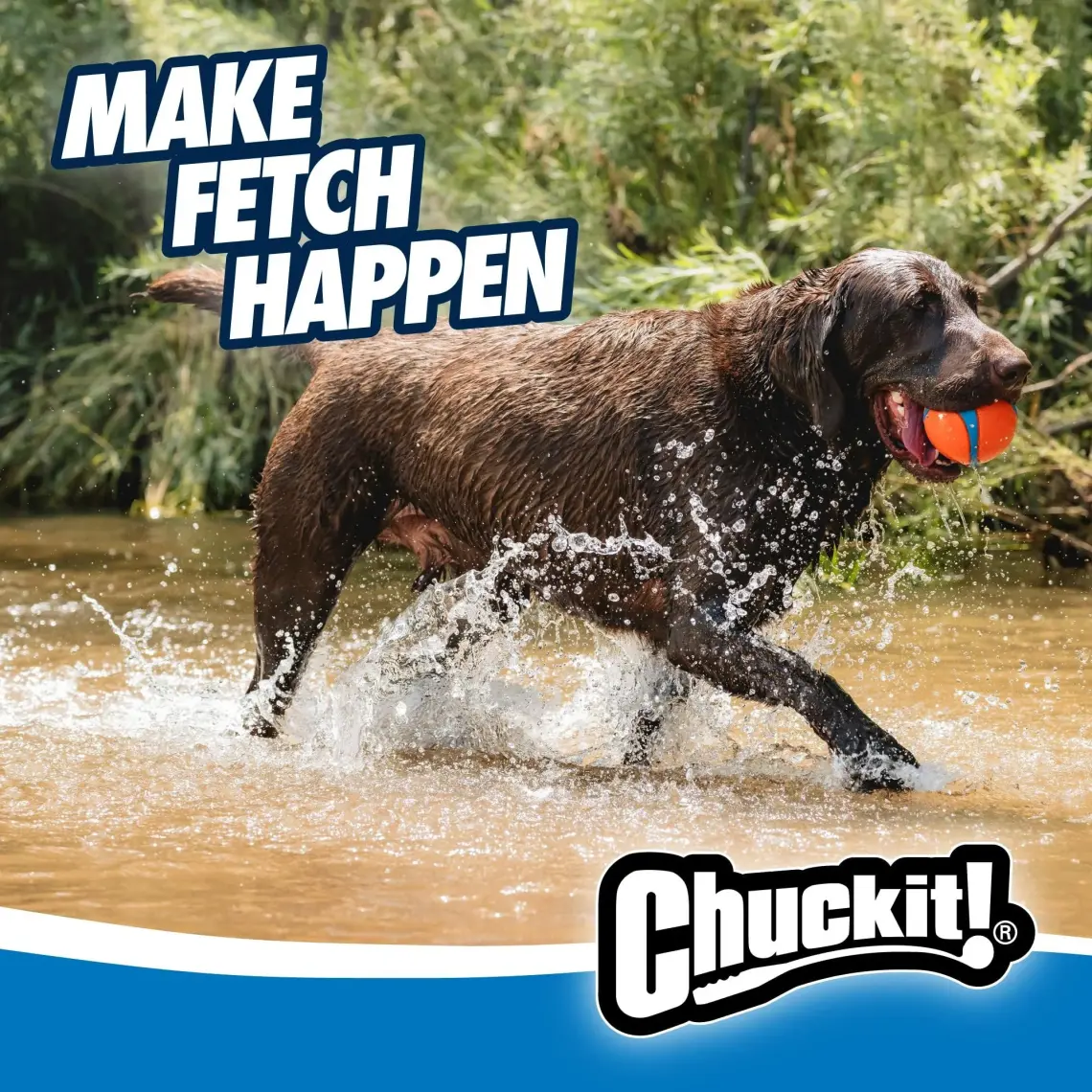 Chuckit Chuckit! Ultra Ball Köpek Oyun Topu (XXL Boy)