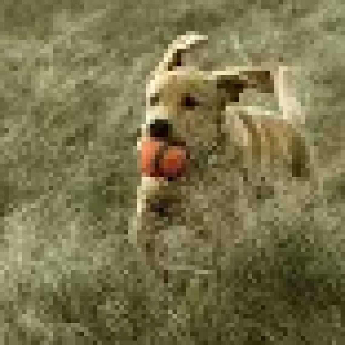 Chuckit Chuckit! Ultra Ball Köpek Oyun Topu (XXL Boy)