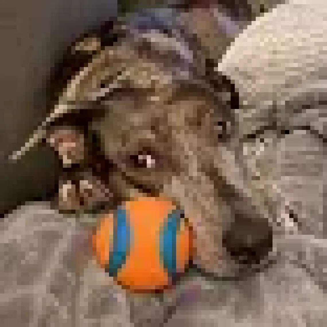 Chuckit Chuckit! Ultra Ball Köpek Oyun Topu (XXL Boy)