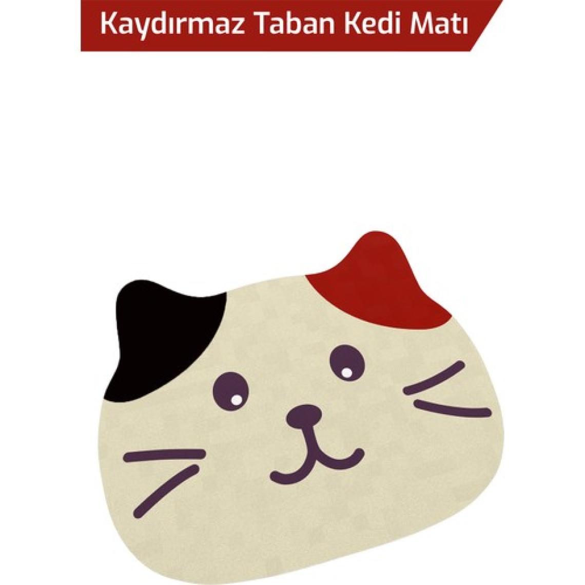 Arnee Büyük Boy Kedi Tuvalet Önü Paspası 50X60 cm