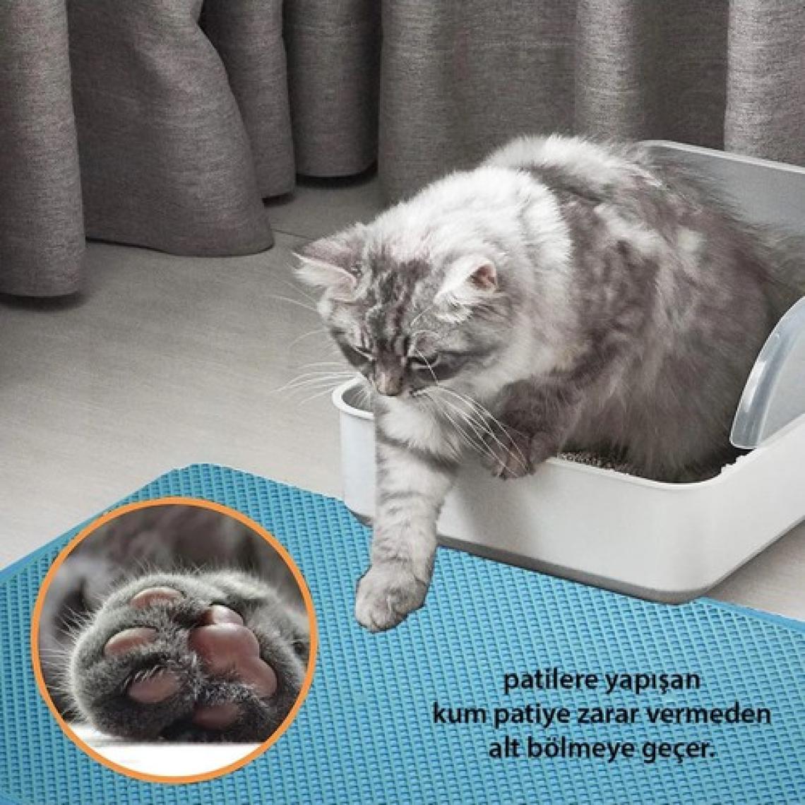 Milo Elekli Kedi Paspası 45X62 cm Sert Plastik
