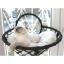 Lüxperi Kedi Cam Yatağı & Vantuzlu Cam Yatağı & Güçlü Vantuzlu Kedi Yatağı