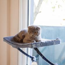 Ata Home Cama Asılan Kedi Yatağı Vantuzlu