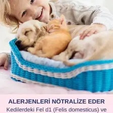 Hijyen Spreyi Pet 200Ml Parfümsüz Kedi Kumu Tuvaleti Koku Köpek Çiş