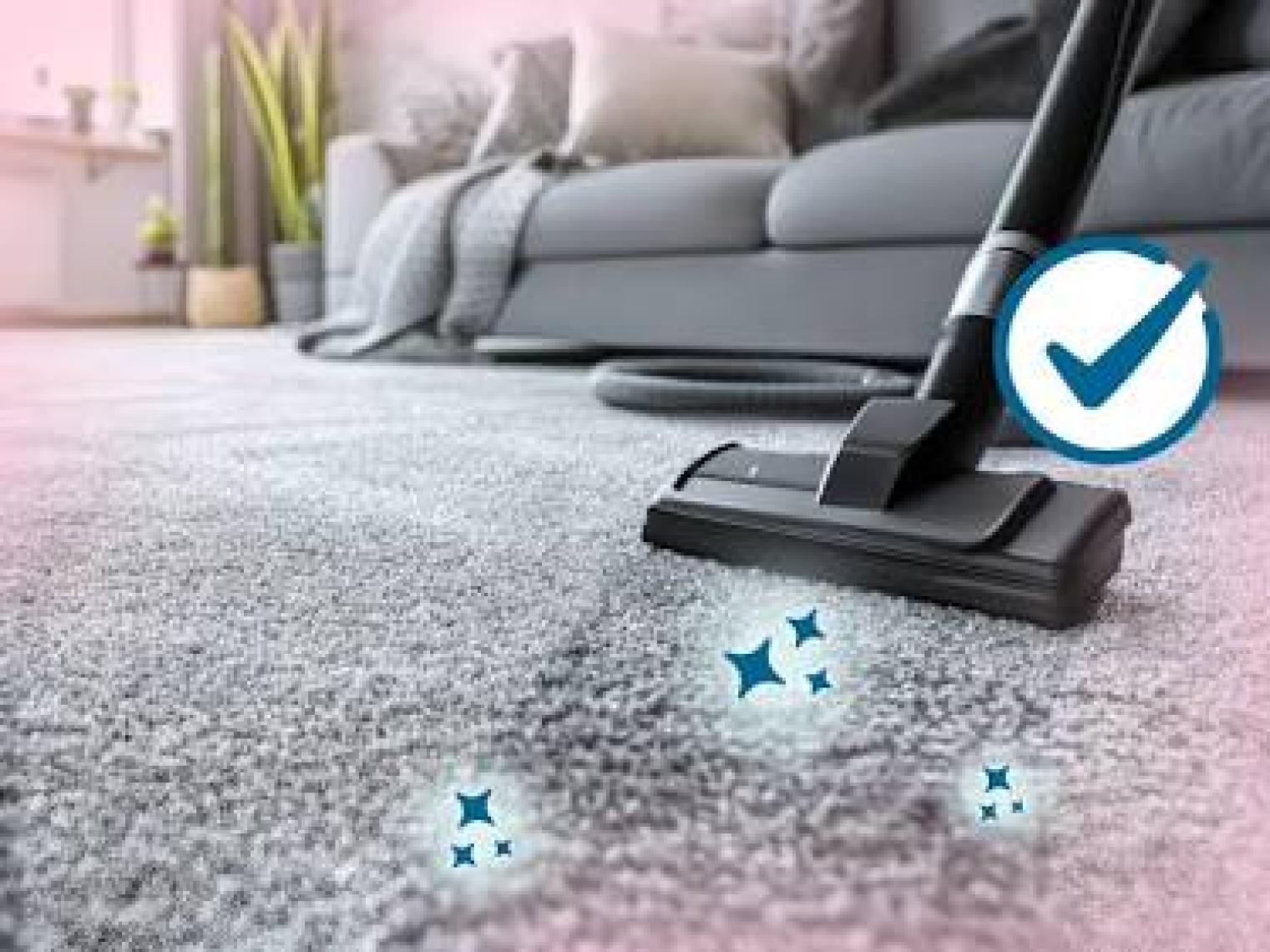 Simple Solution Pet Carpet Freshner Koku Giderici Halı Pudrası 500 gr