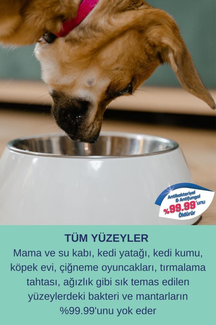Hijyen Spreyi Pet 200Ml Parfümsüz Kedi Kumu Tuvaleti Koku Köpek Çiş