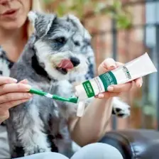Aloe Vera Ve Nane Özlü Köpek Diş Macunu 100 gr