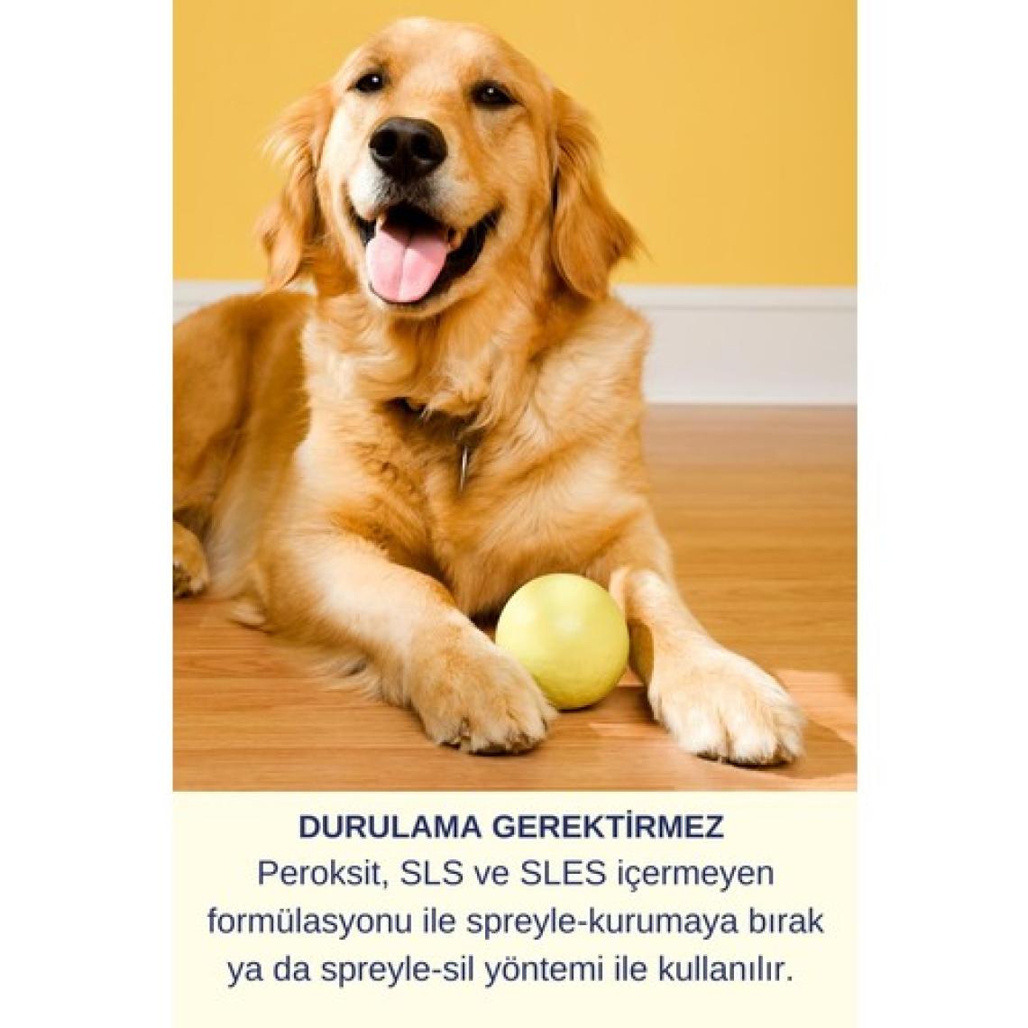 Resteril Hiyen Spreyi Pet 750X5000Ml Kedi Kumu Köpek Çiş Kusma Koku Dezenfektan Temizleyici