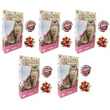 Spring Aktif Karbonlu Kedi Kumu Bahar Koku Giderici 30 Gr 5 Adet