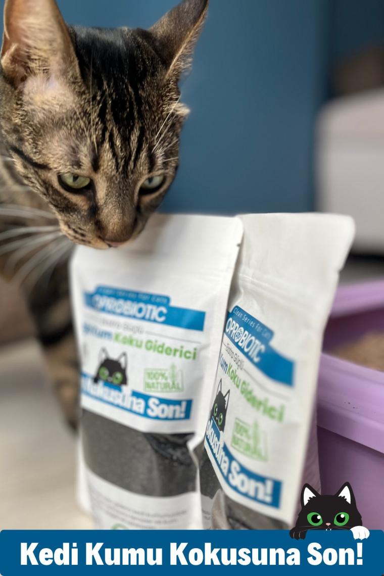 Clean Doğal Kedi Kumu Koku Giderici 240 gr