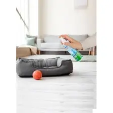 Hijyen Spreyi Pet 750ml Parfümsüz Kedi Koku Giderici Kumu Tuvaleti Mama Kabı