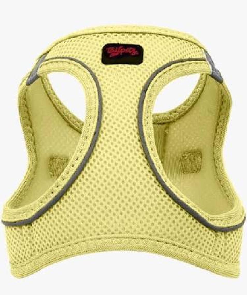 Tailpetz Air-Mesh Harness Köpek Göğüs Tasması 3XSmall Mavi