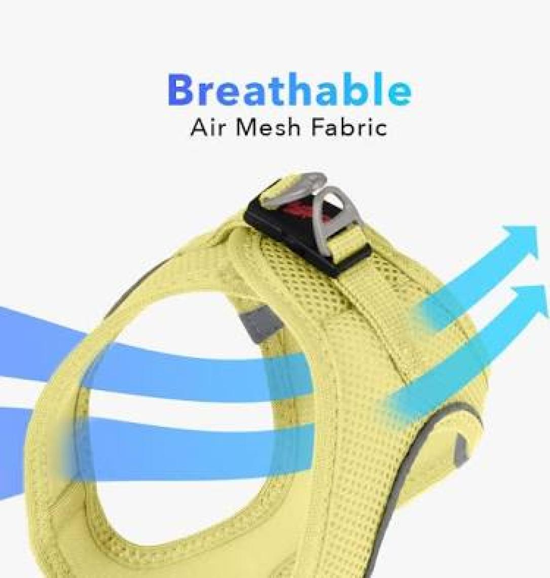 Tailpetz Air-Mesh Harness Köpek Göğüs Tasması 3XSmall Mavi