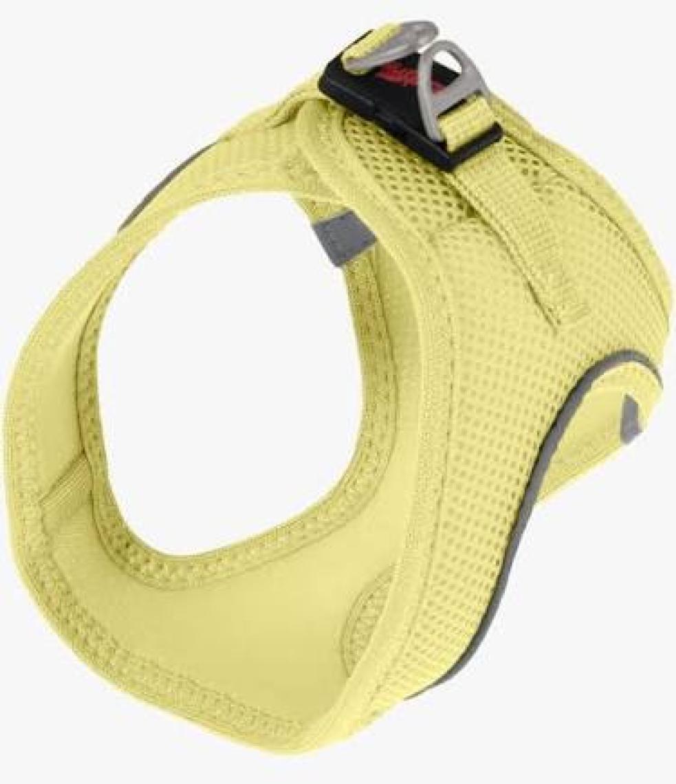 Tailpetz Air-Mesh Harness Köpek Göğüs Tasması 3XSmall Mavi