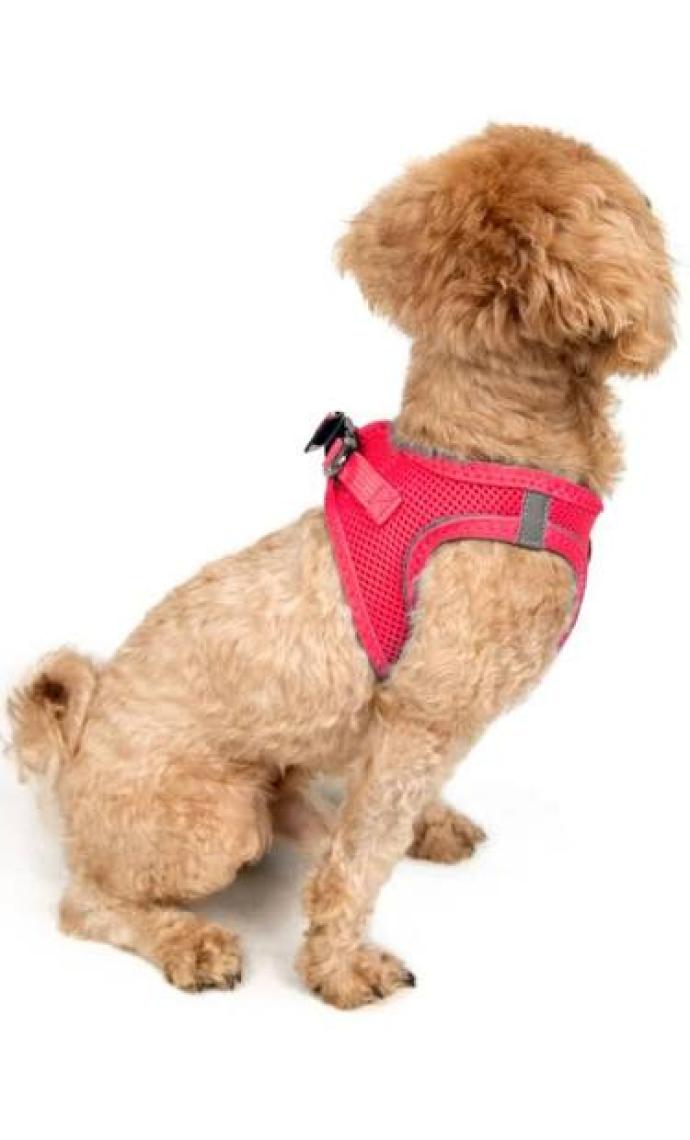 Tailpetz Air-Mesh Harness Köpek Göğüs Tasması 3XSmall Mavi