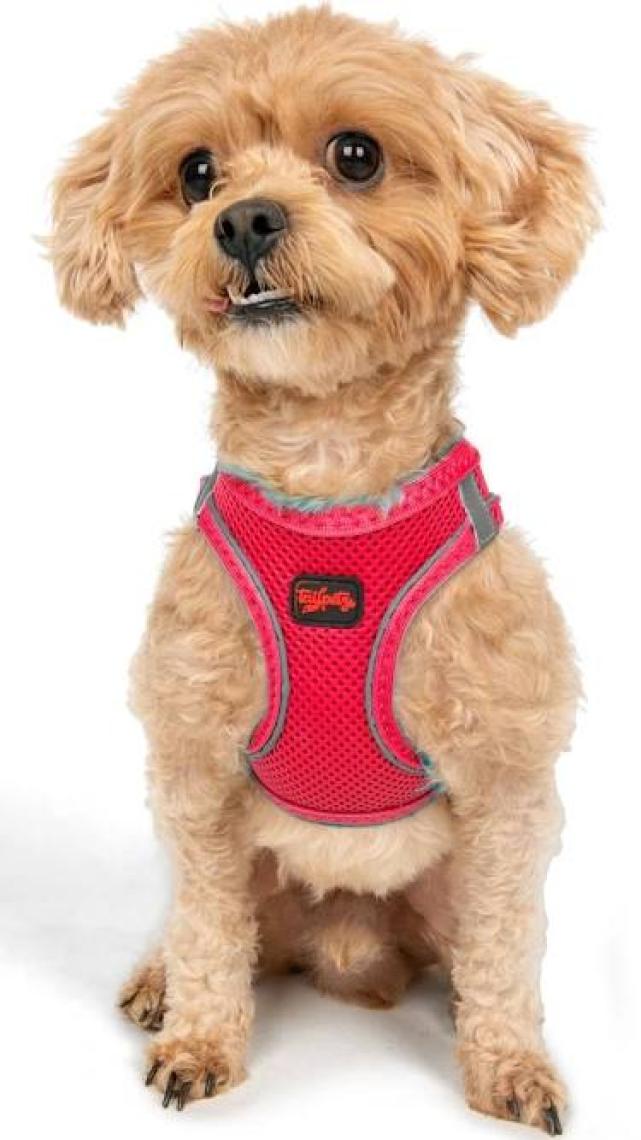 Tailpetz Air-Mesh Harness Köpek Göğüs Tasması 3XSmall Mavi