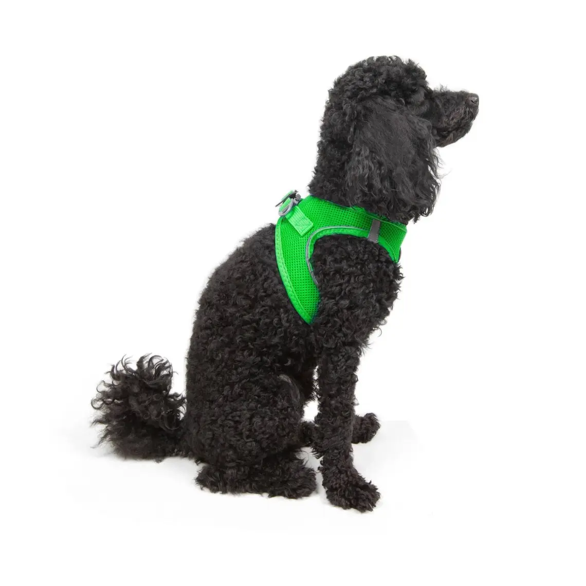 Tailpetz Air-Mesh Harness Köpek Göğüs Tasması 3XSmall Mavi