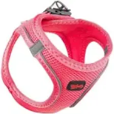 Tailpetz Air-Mesh Harness Köpek Göğüs Tasması 3XSmall Mavi