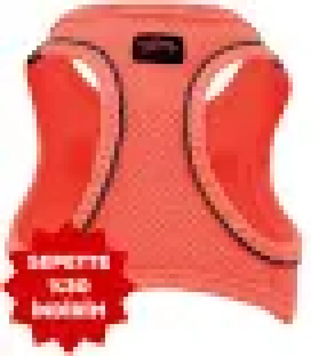 Tailpetz Air-Mesh Harness Köpek Göğüs Tasması 3XSmall Mavi