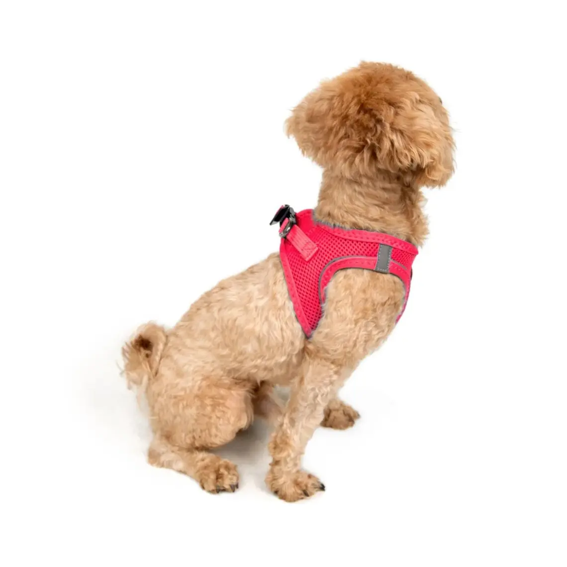 Tailpetz Air-Mesh Harness Köpek Göğüs Tasması 3XSmall Mavi
