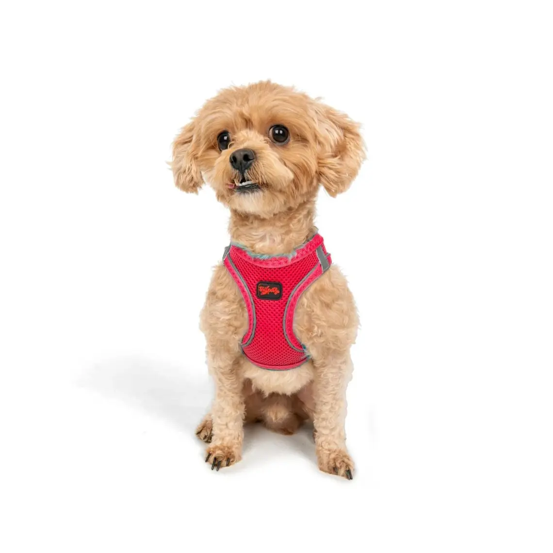Tailpetz Air-Mesh Harness Köpek Göğüs Tasması 3XSmall Mavi
