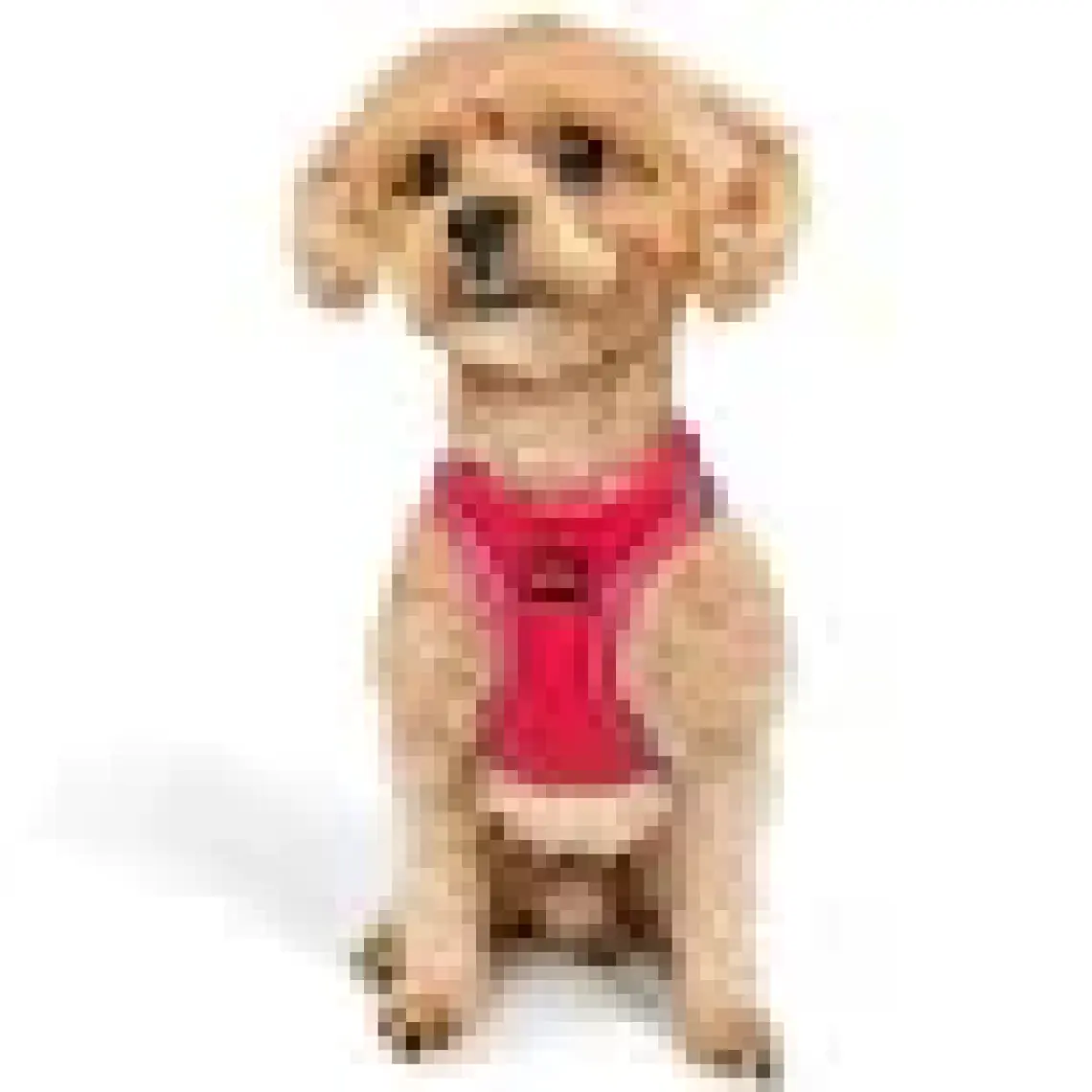 Tailpetz Air-Mesh Harness Köpek Göğüs Tasması 3XSmall Mavi