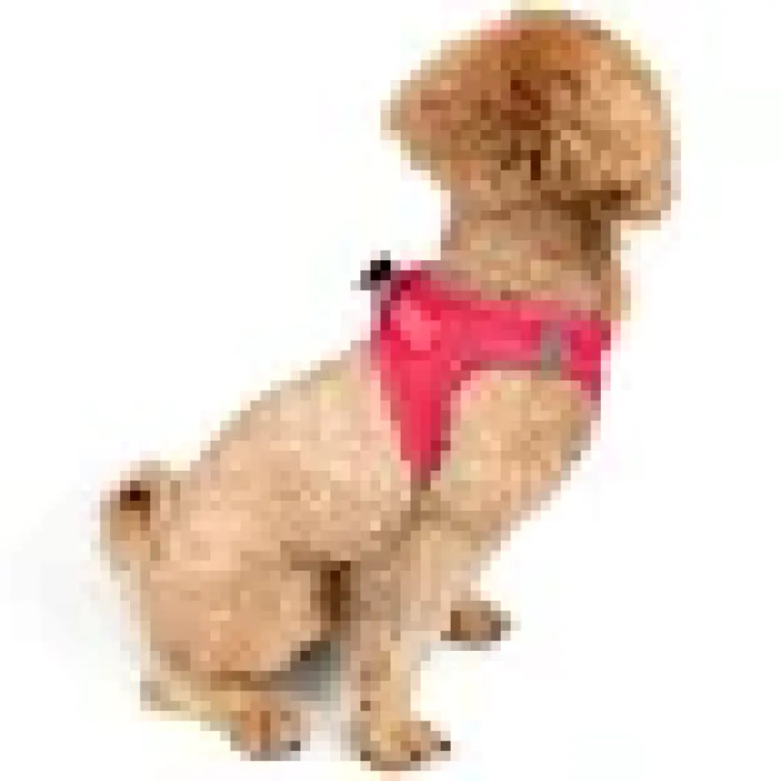 Tailpetz Air-Mesh Harness Köpek Göğüs Tasması 3XSmall Mavi