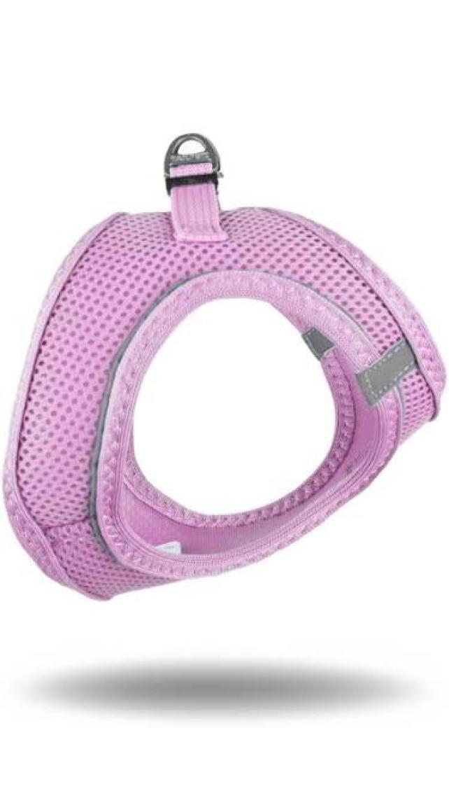 Tailpetz Air-Mesh Harness Köpek Göğüs Tasması 3XSmall Mavi