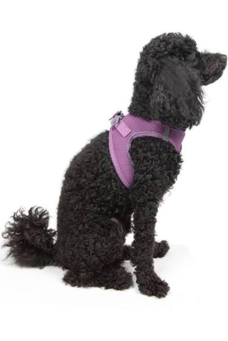 Tailpetz Air-Mesh Harness Köpek Göğüs Tasması 3XSmall Mavi
