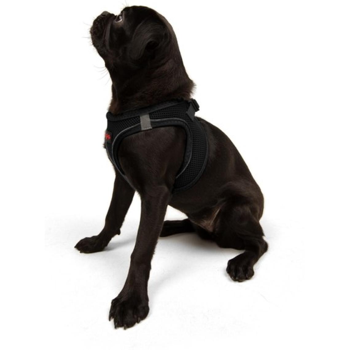 Tailpetz Air-mesh Harness Köpek Göğüs Tasması Siyah