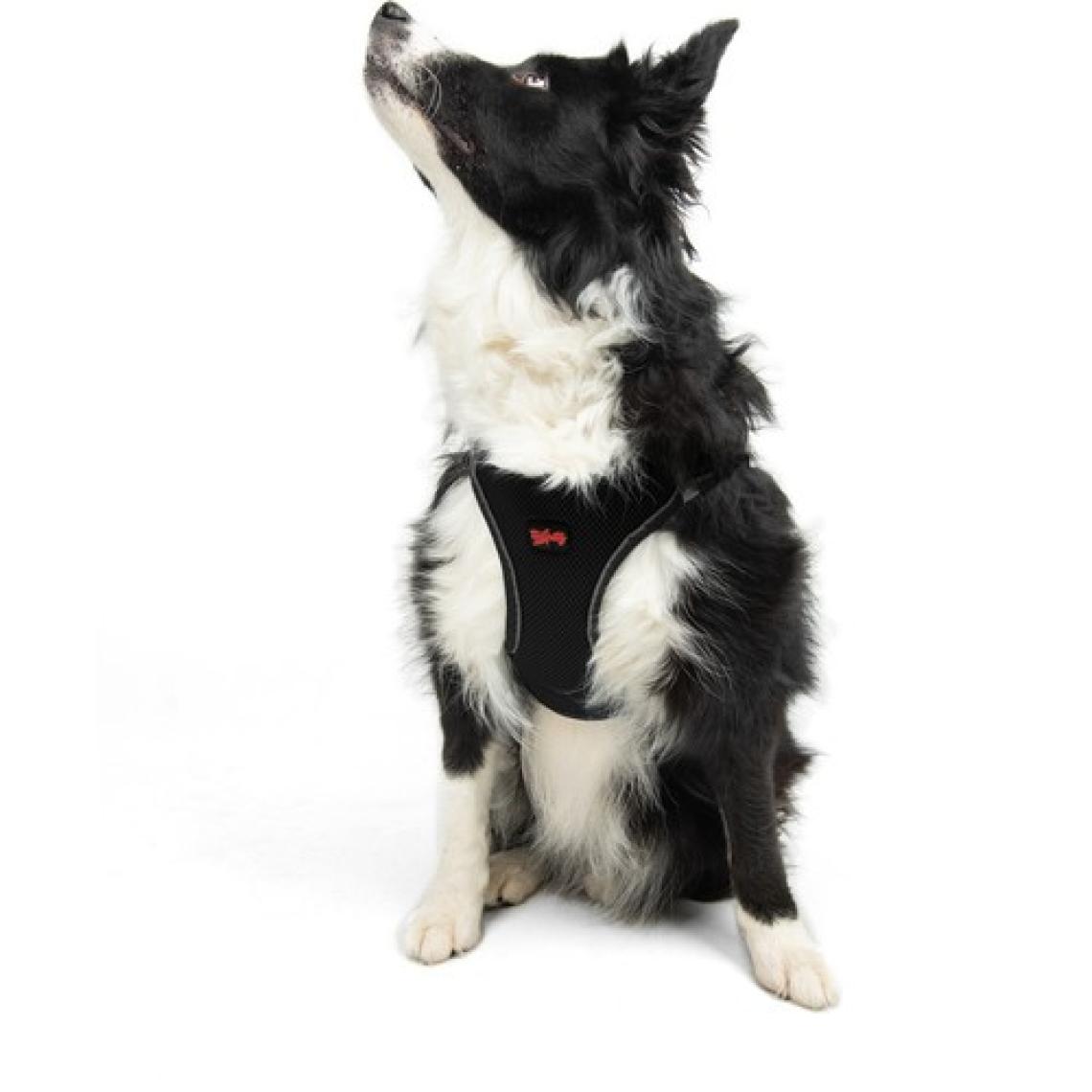 Tailpetz Air-mesh Harness Köpek Göğüs Tasması Siyah