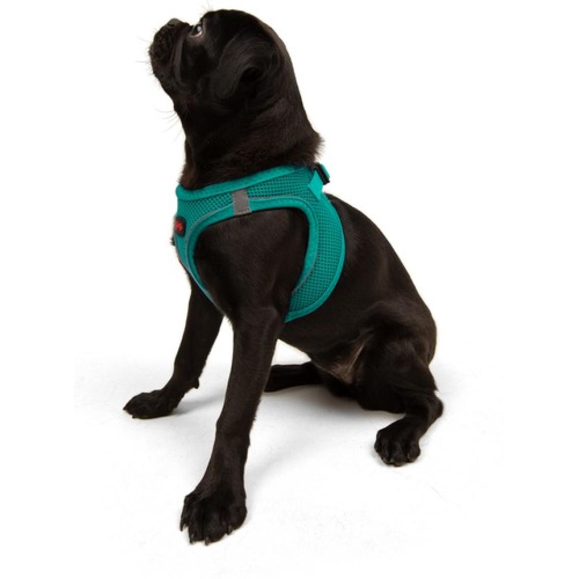 Tailpetz Air-mesh Harness Köpek Göğüs Tasması Yeşil