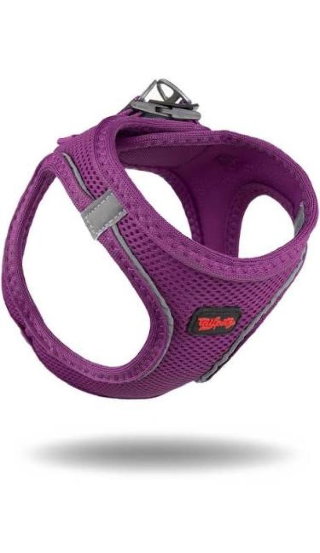 Tailpetz Air-Mesh Harness Köpek Göğüs Tasması 3XSmall Mavi