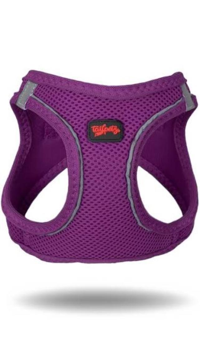 Tailpetz Air-Mesh Harness Köpek Göğüs Tasması 3XSmall Mavi