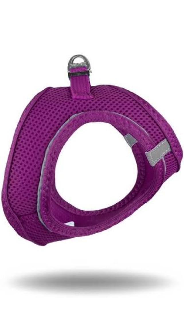 Tailpetz Air-Mesh Harness Köpek Göğüs Tasması 3XSmall Mavi