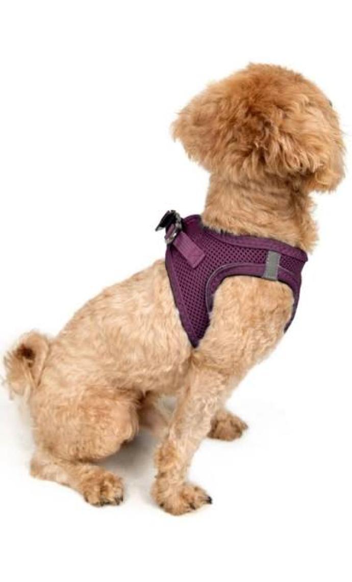 Tailpetz Air-Mesh Harness Köpek Göğüs Tasması 3XSmall Mavi