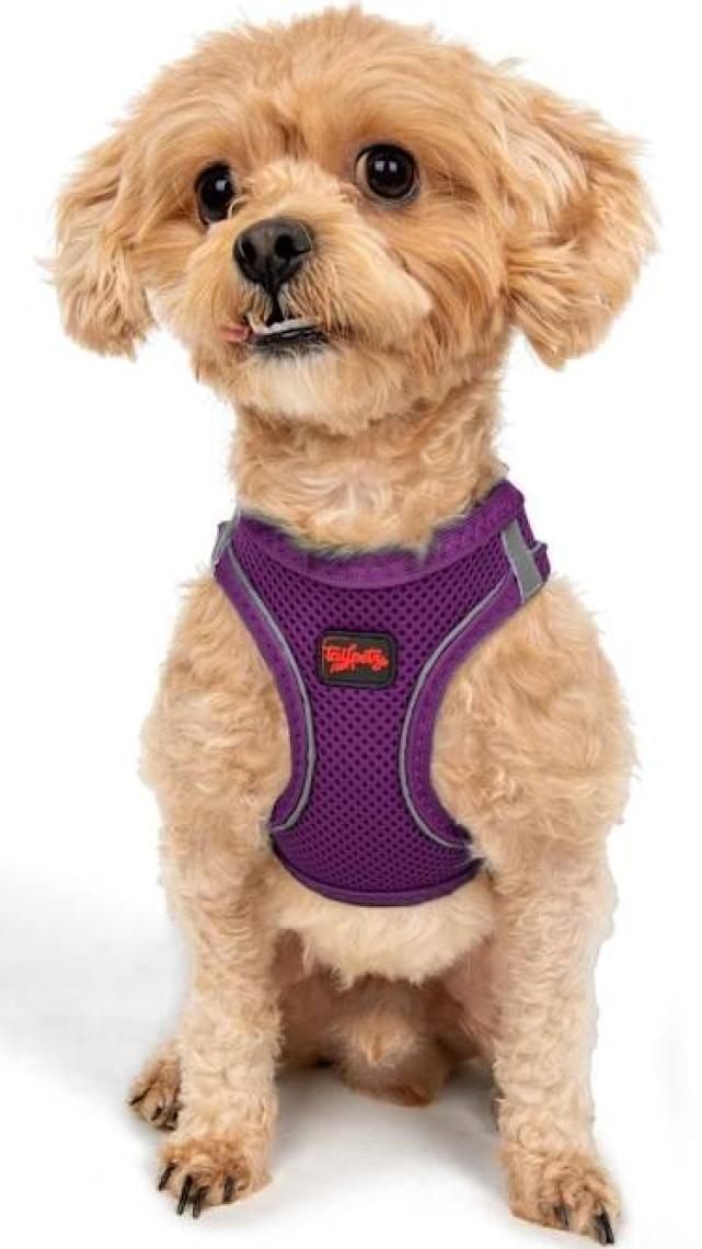 Tailpetz Air-Mesh Harness Köpek Göğüs Tasması 3XSmall Mavi