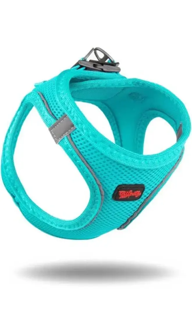 Tailpetz Air-Mesh Harness Köpek Göğüs Tasması 3XSmall Mavi