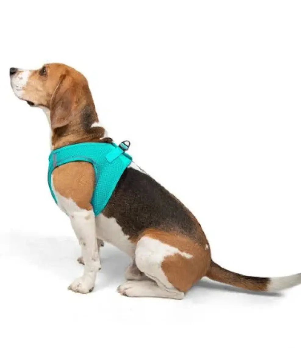 Tailpetz Air-Mesh Harness Köpek Göğüs Tasması 3XSmall Mavi