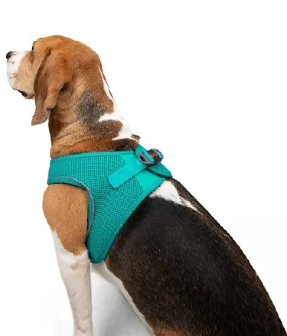 Tailpetz Air-Mesh Harness Köpek Göğüs Tasması 3XSmall Mavi
