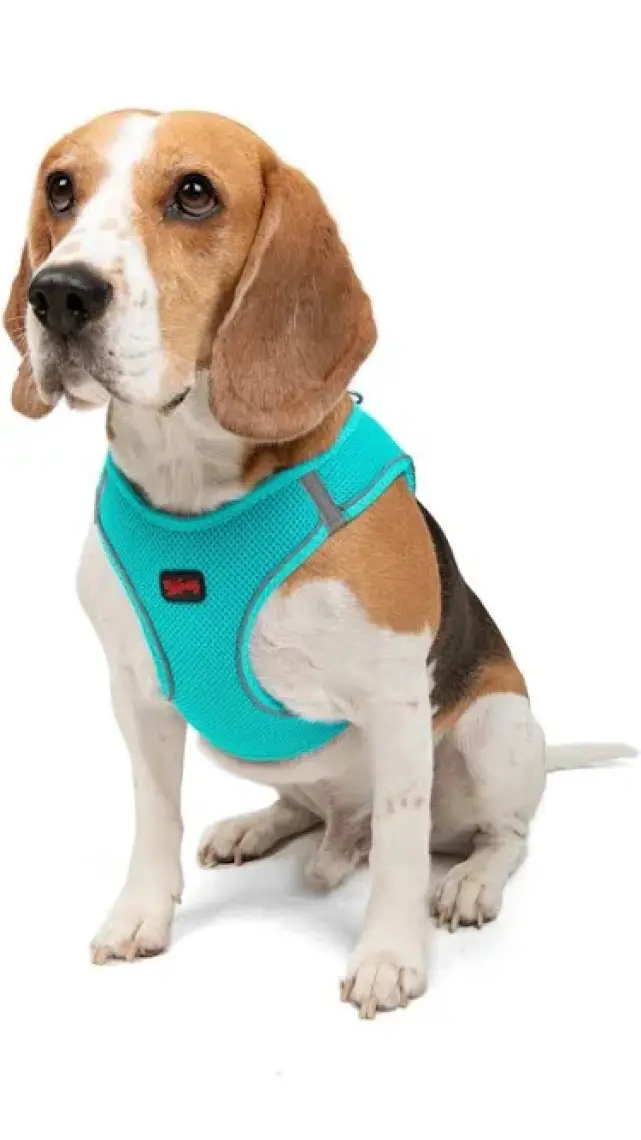 Tailpetz Air-Mesh Harness Köpek Göğüs Tasması 3XSmall Mavi