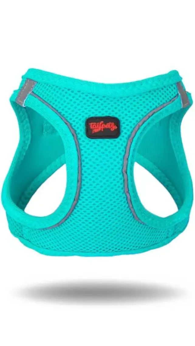 Tailpetz Air-Mesh Harness Köpek Göğüs Tasması 3XSmall Mavi