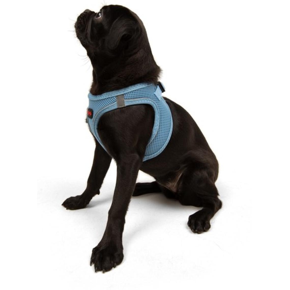Tailpetz Air-mesh Harness Köpek Göğüs Tasması Mavi