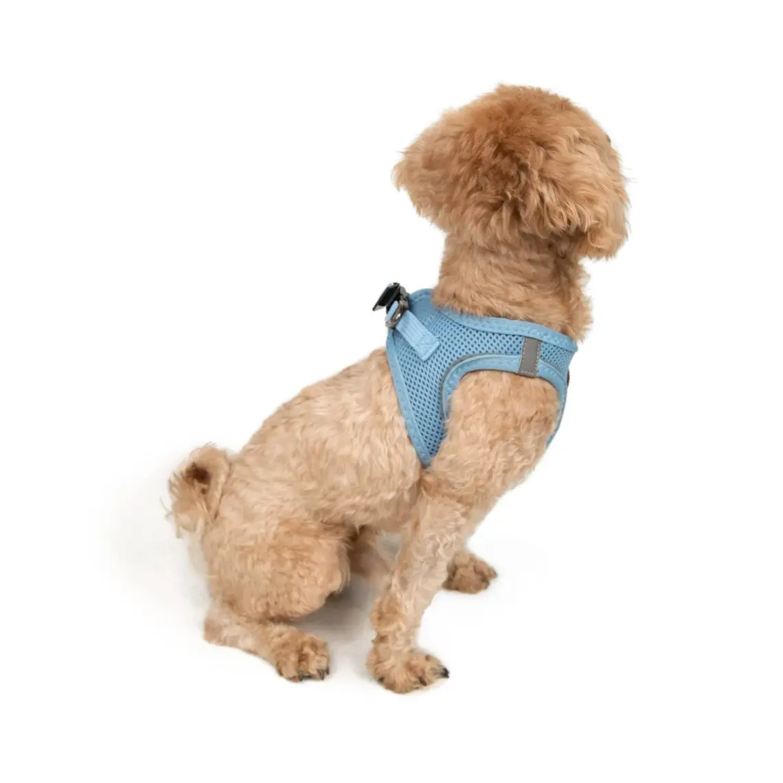 Tailpetz Air-Mesh Harness Köpek Göğüs Tasması 3XSmall Mavi