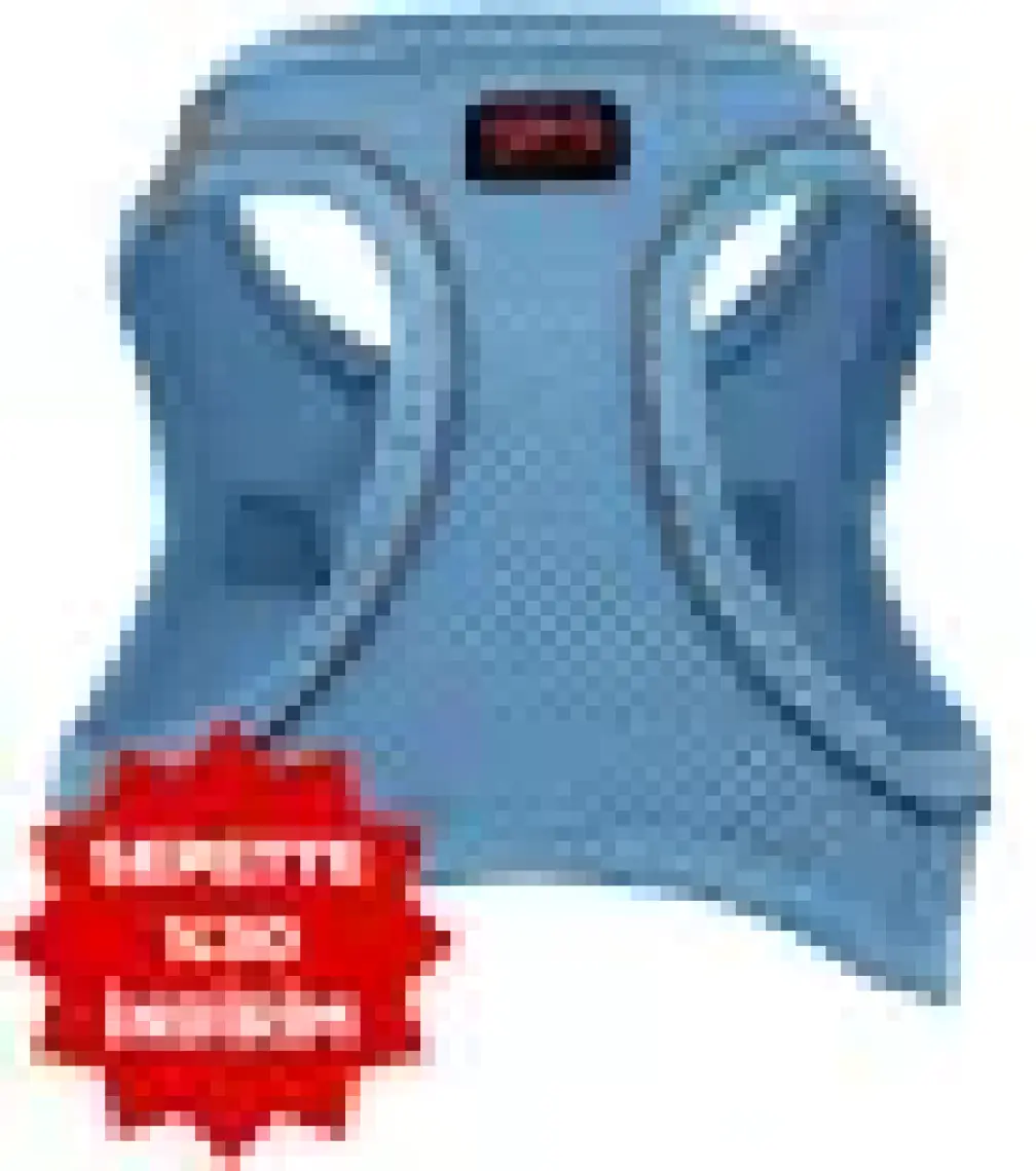 Tailpetz Air-Mesh Harness Köpek Göğüs Tasması 3XSmall Mavi