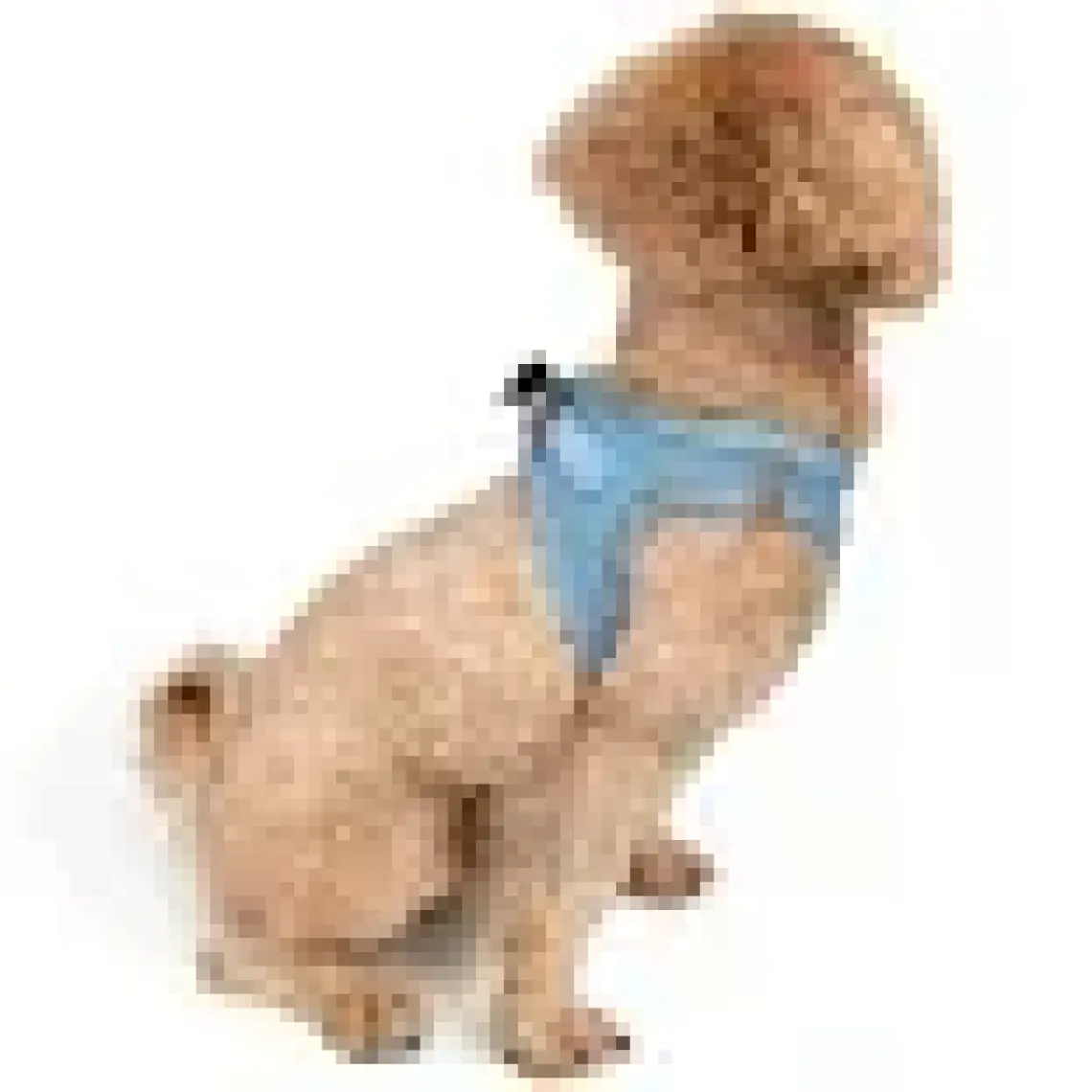 Tailpetz Air-Mesh Harness Köpek Göğüs Tasması 3XSmall Mavi
